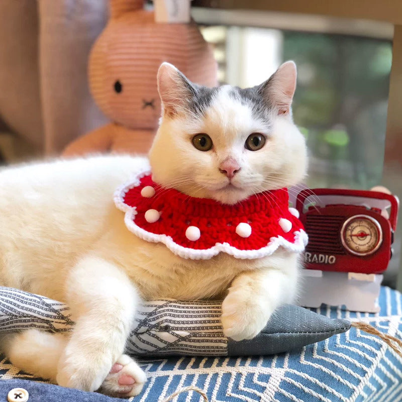 Gatos, perros y conejos domésticos, collares de punto, adornos navideños, toallas de saliva